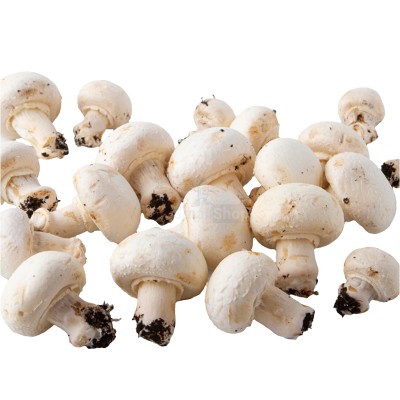 Шампиньоны свежие 500 г - купить в Старом Малгобеке